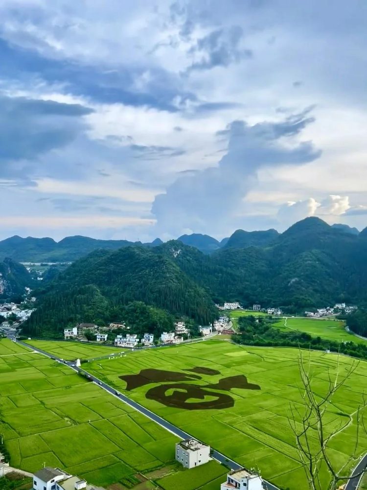 在【兴义.万峰林】看到了宫崎骏动漫里的夏天