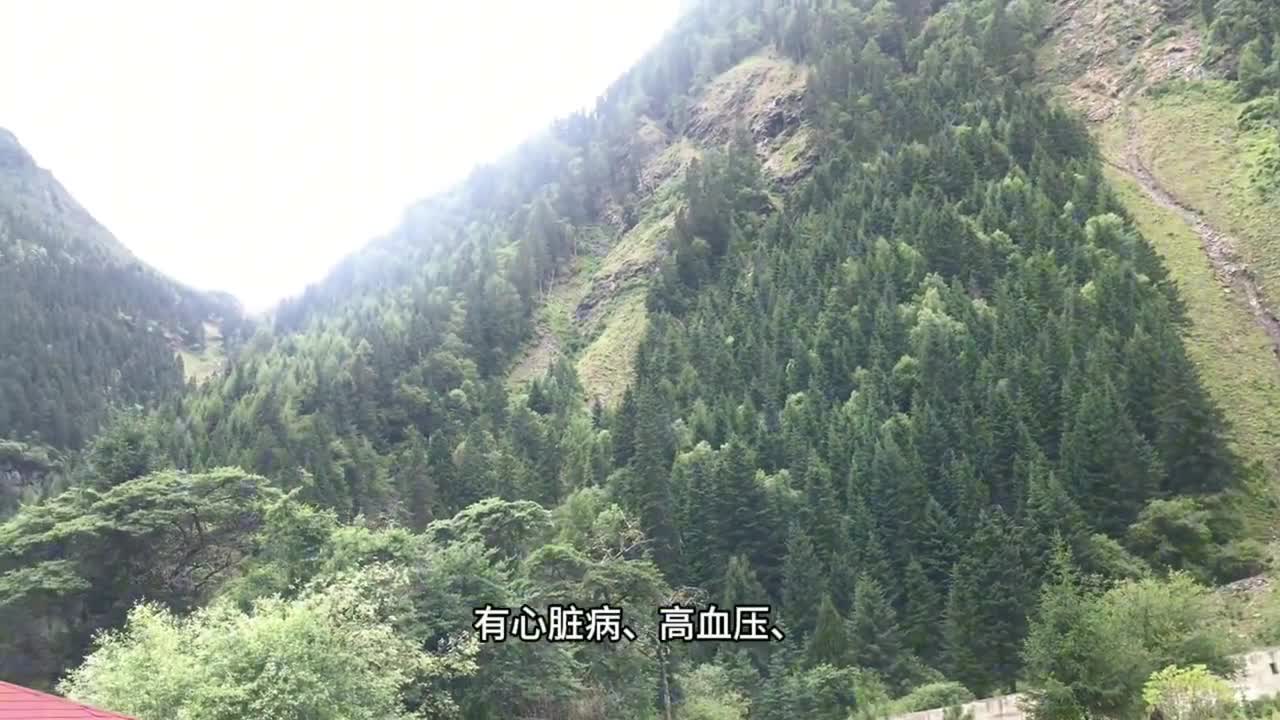 甘南川西旅行简影四姑娘山双桥沟景区好风景在路上