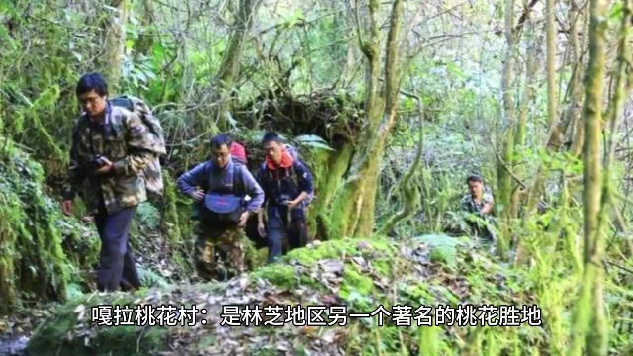 西藏自治区17个旅游景点