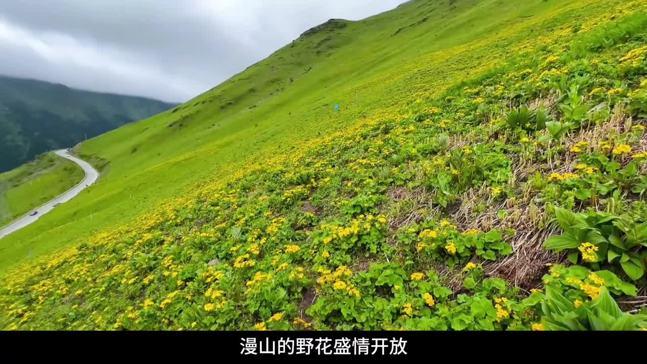 这个夏天一定要来一次川西，川西3天的旅游攻略已经为你准备好了