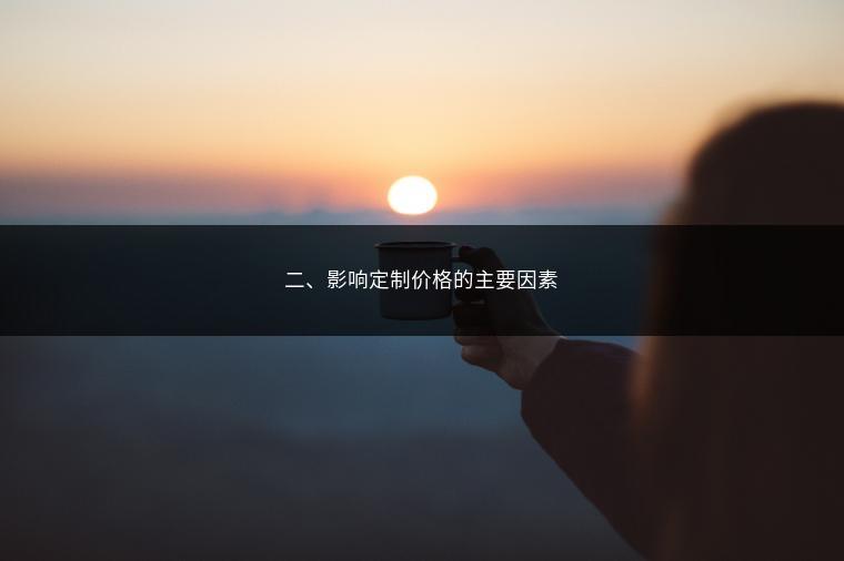 二、影响定制价格的主要因素