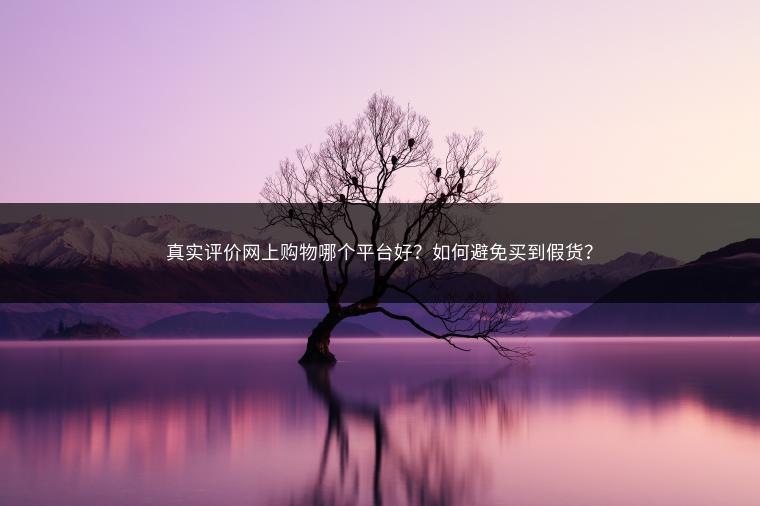 真实评价网上购物哪个平台好？如何避免买到假货？