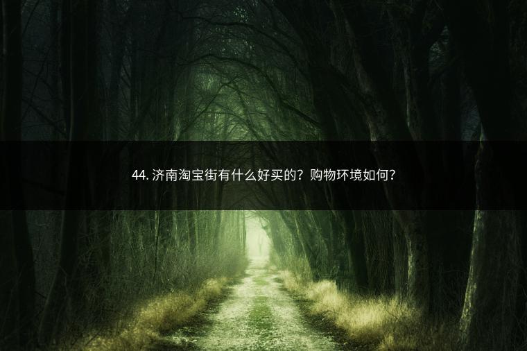 44. 济南淘宝街有什么好买的？购物环境如何？