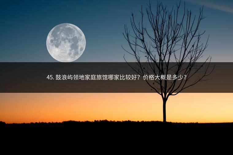 45. 鼓浪屿领地家庭旅馆哪家比较好？价格大概是多少？