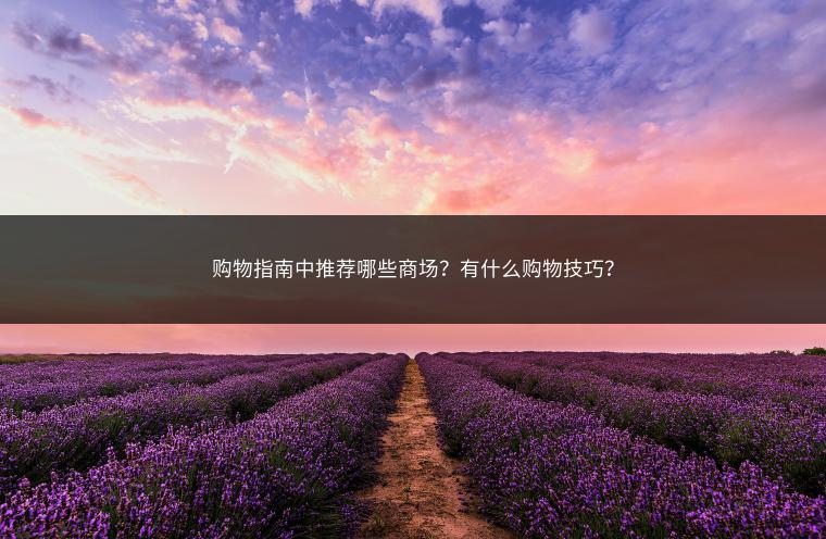 购物指南中推荐哪些商场？有什么购物技巧？