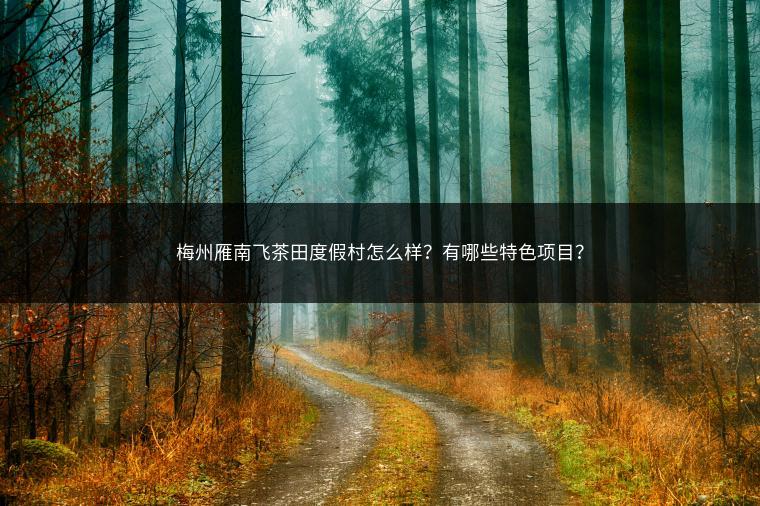 梅州雁南飞茶田度假村怎么样？有哪些特色项目？