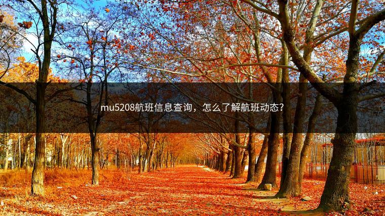 mu5208航班信息查询，怎么了解航班动态？