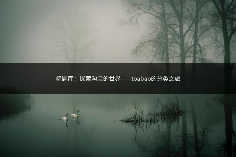 标题库：探索淘宝的世界——toabao的分类之旅