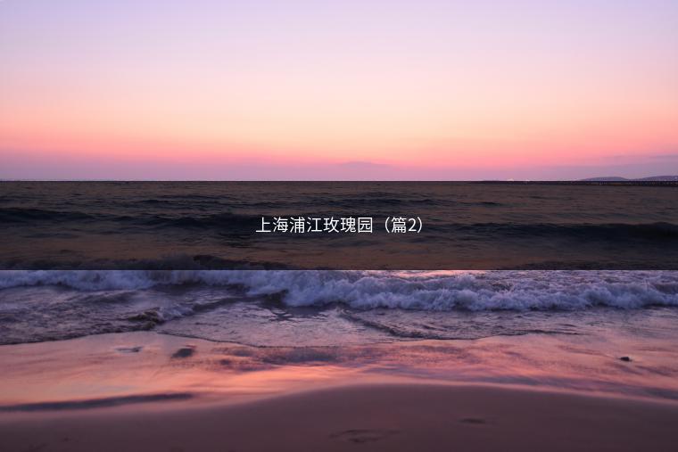 上海浦江玫瑰园（篇2）