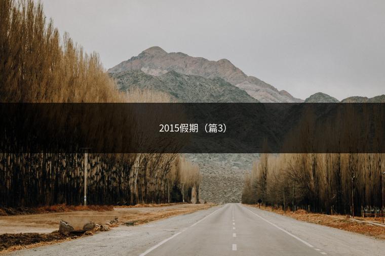 2015假期（篇3）