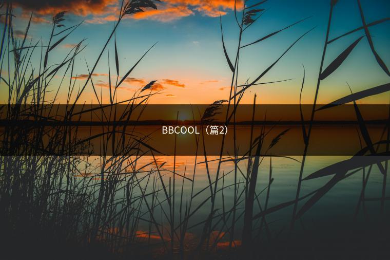 BBCOOL（篇2）