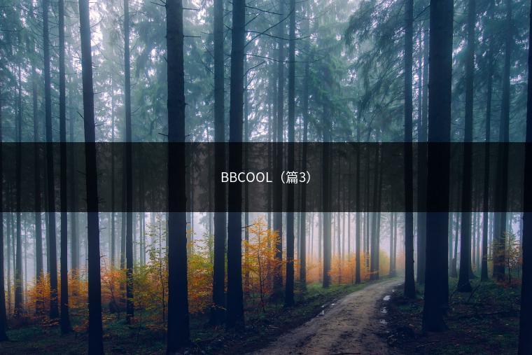 BBCOOL（篇3）