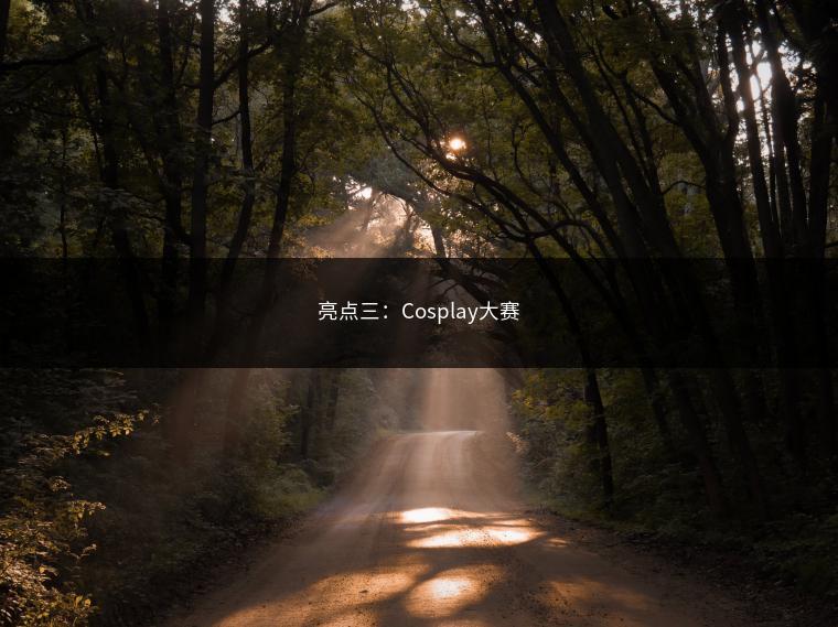 亮点三：Cosplay大赛