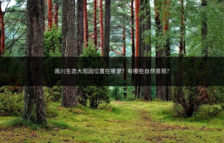 南川生态大观园位置在哪里？有哪些自然景观？