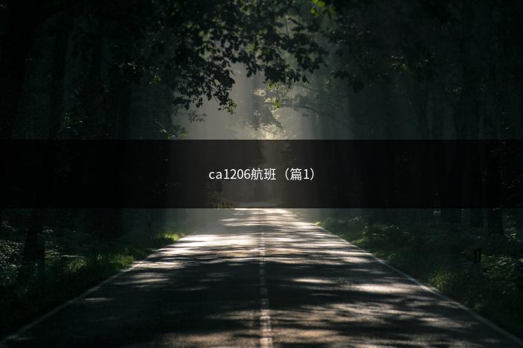 ca1206航班（篇1）