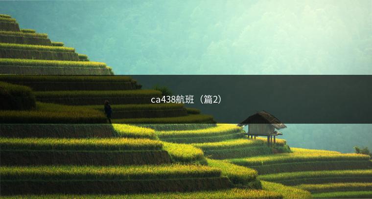 ca438航班（篇2）