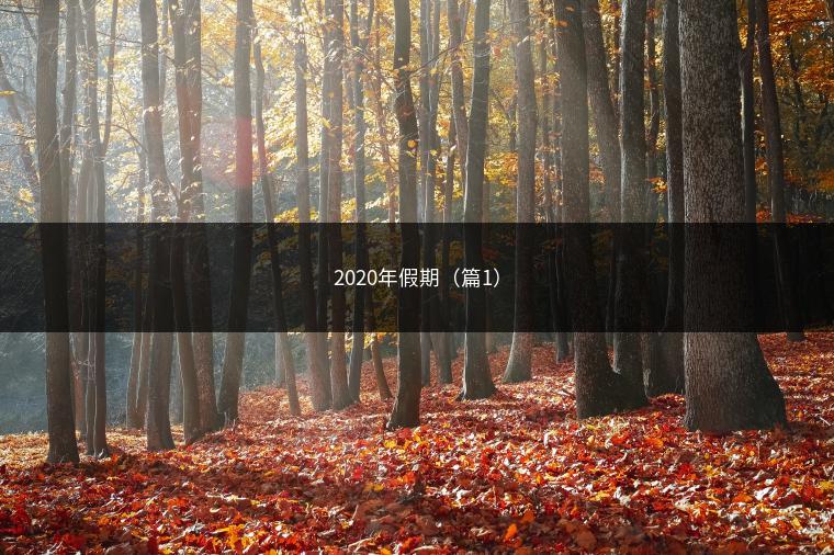 2020年假期（篇1）