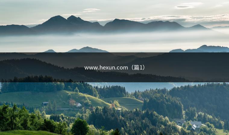 www.hexun.com（篇1）