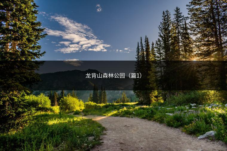 龙背山森林公园（篇1）