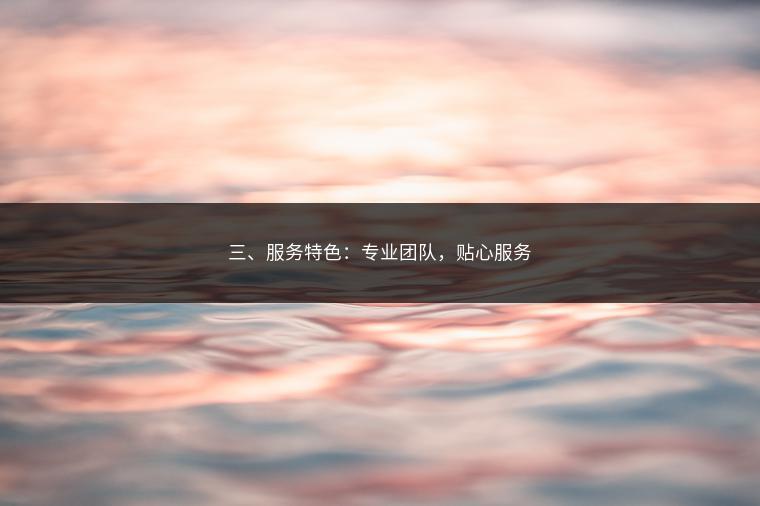 三、服务特色：专业团队，贴心服务