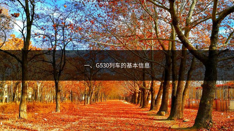 一、G530列车的基本信息