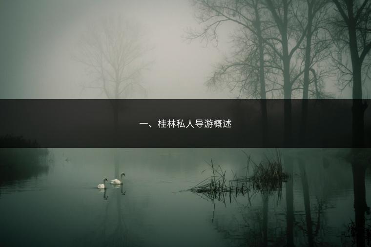 一、桂林私人导游概述