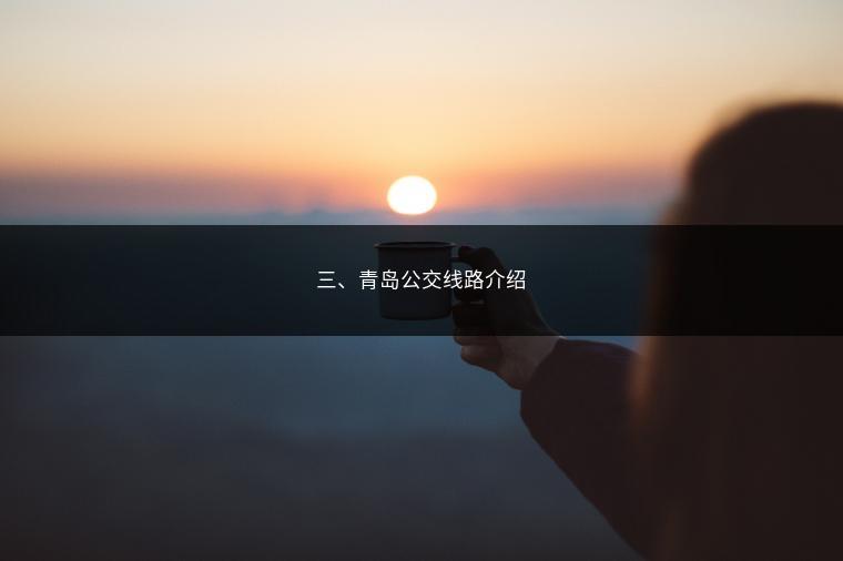 三、青岛公交线路介绍