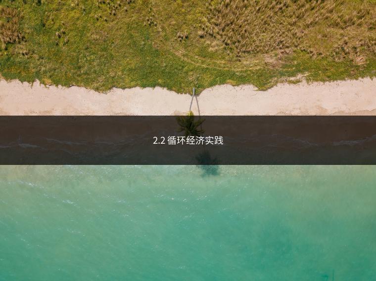 2.2 循环经济实践