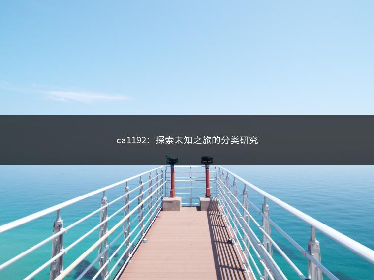 ca1192：探索未知之旅的分类研究